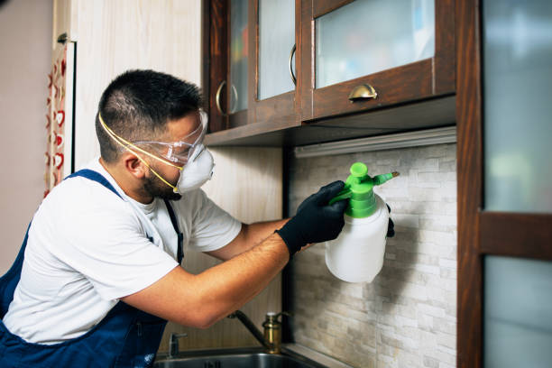 Best Exterminator Services  in Netcong, NJ