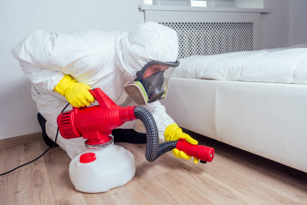 Best Wasp Removal Services  in Netcong, NJ