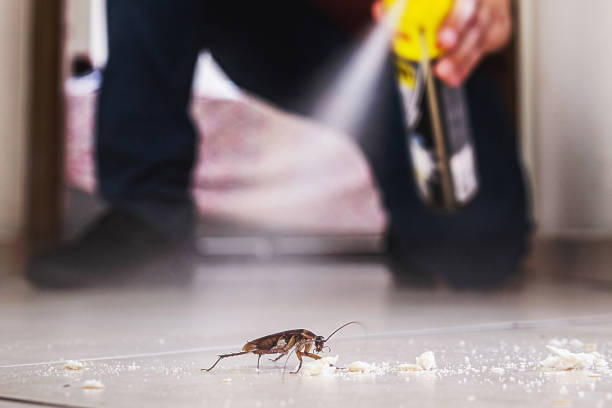 Best Flea Control Services  in Netcong, NJ
